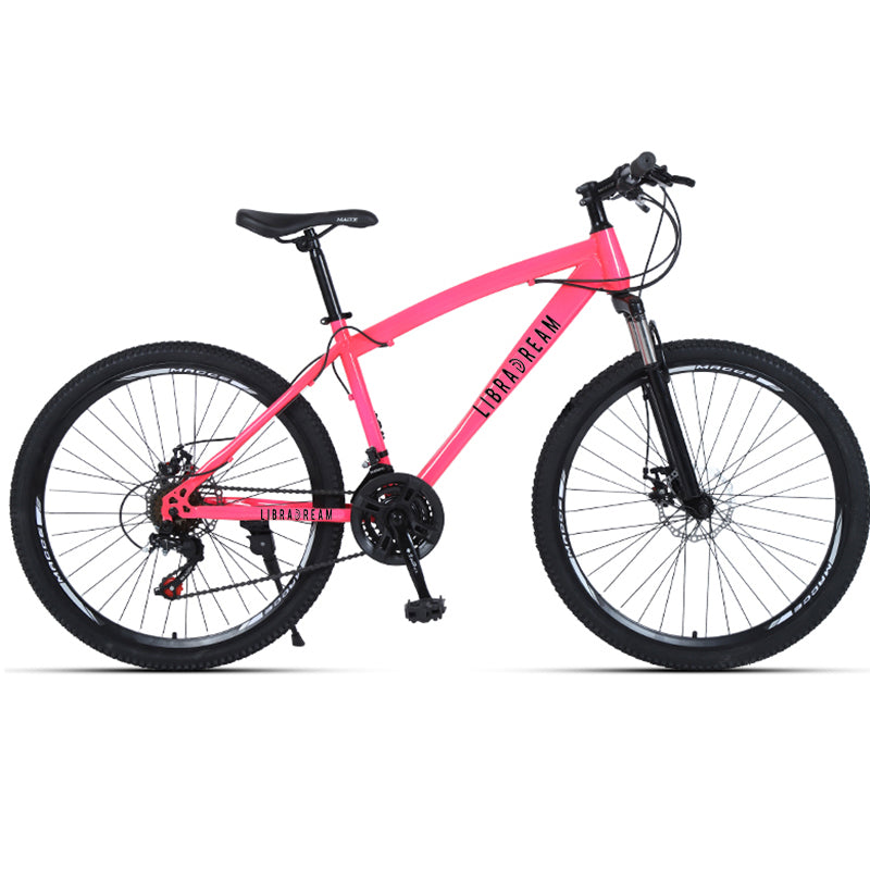 24 speed mountain online bike